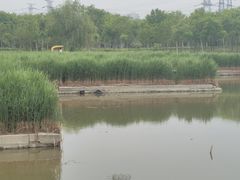 -天津东丽湖风景区
