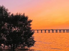 -宝安西湾红树林湿地公园