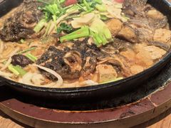 -老板恋上鱼(恒隆广场店)