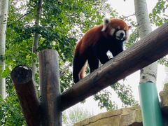 -北京野生动物园
