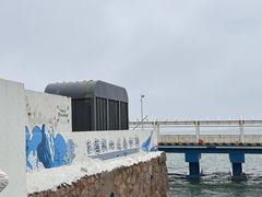 -东极岛景区