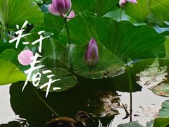 -北陵公园