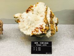 -甘肃地质博物馆