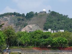 -中山市树木园