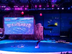 -华夏文旅海洋公园