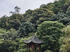 -云溪植物园