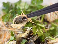 -轩记海鲜餐厅·四十五年老字号·经典粤菜(西区彩虹店)