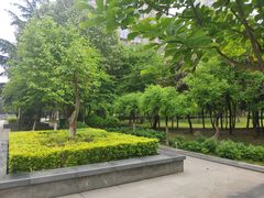 -木塔寺遗址生态公园