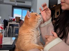 -汉陵苑