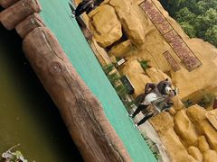-常州淹城野生动物世界