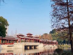 -重庆彩云湖湿地公园