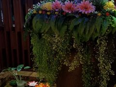 -金厨泰国餐厅·全泰籍厨师料理(拱北店)