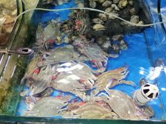 -海帮主·蒸汽海鲜青岛菜(栈桥火车站店)