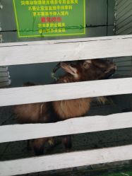 -可可天空农场(东部新城银泰店)