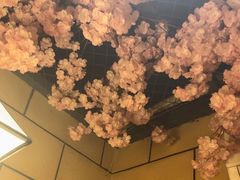 -九田家黑牛烤肉料理(华侨城店)