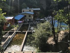 -建社鱼庄(管坪店)