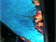 -楼兰印象(朝外店)