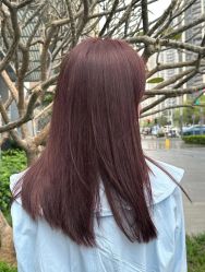 -六道沙龙