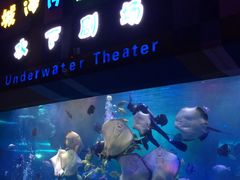 -泉城欧乐堡海洋极地世界