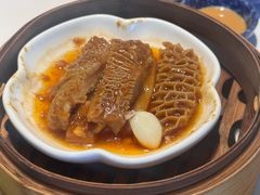 -点都德·毕德寮