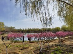-永定河休闲森林公园