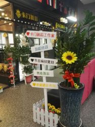-卡门舞蹈