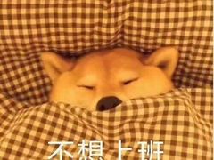 -石老头关东饺子王·东北菜(嘉华鑫城店)