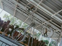 -泉州海丝野生动物世界