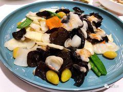 鲜百合煎酿木耳-花城苑广府菜(侨鑫店)