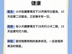 -翊宠yipet猫狗购宠庄园