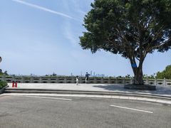 -火炉山森林公园