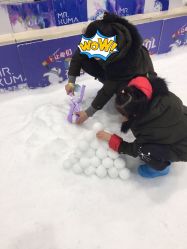-Mr·Kuma酷么先生雪之乐园