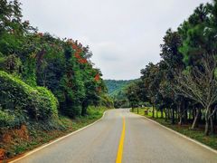 -南京市无想山景区