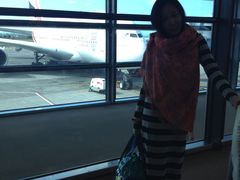 -西沃古尔·拉姆古兰爵士国际机场