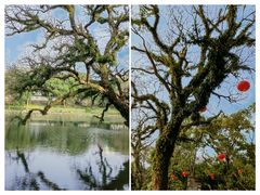 -台州府城(东湖)