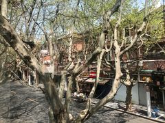 -蝶舍·MAISON PAPILLON