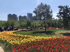 -长春公园(普阳街道)