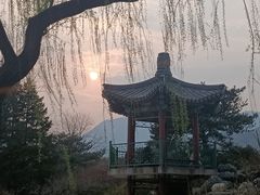 -国家植物园南园