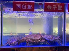 -小龍鳳·港式海鲜打边炉(沙湖路店)