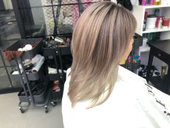 -SALON V