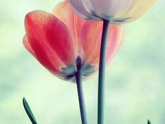 -有礼有面(知春路店)