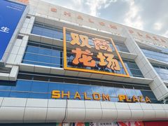 -双龙商场(环城南路店)