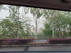 -重庆彩云湖湿地公园