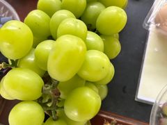 -马陆小张葡萄园农家乐