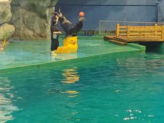 -威海华夏城景区