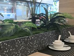 -印象高密·凤都国际大酒店