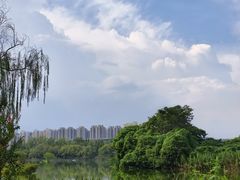 -洋湖国家湿地公园