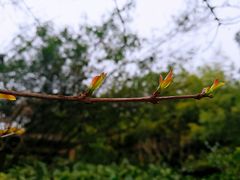 -汇龙潭