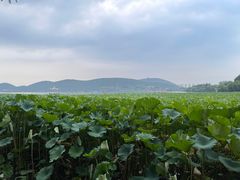 -云龙湖旅游景区