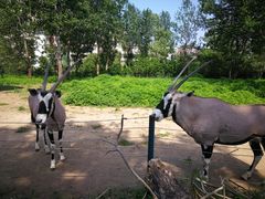 -大连森林动物园